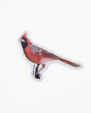 Cardinal Bird Sticker