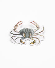 Lady Crab Sticker