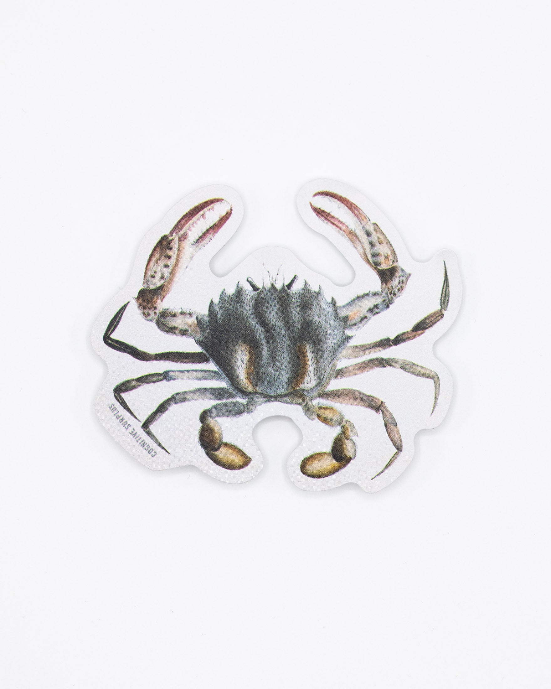 Lady Crab Sticker