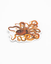 Atlantic White-Spotted Octopus Sticker