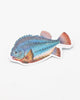 Lump Fish Sticker