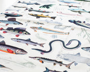 Freshwater Fish Printed Tea Towel
