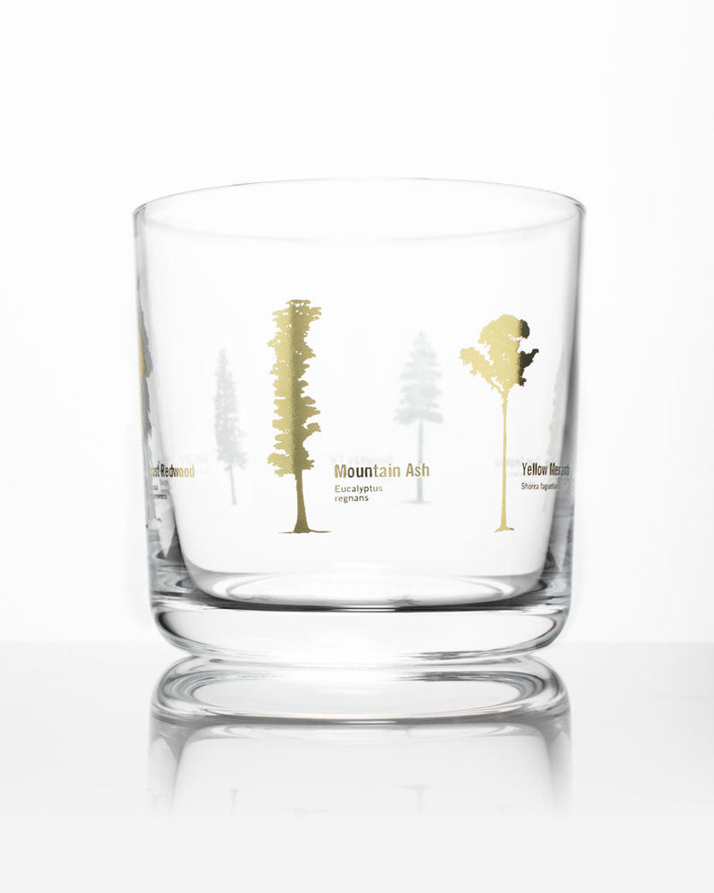 Forest Giants Whiskey Glass