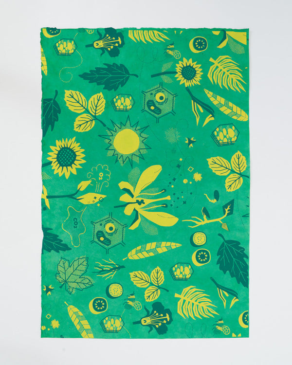 Retro Botany Wrapping Paper