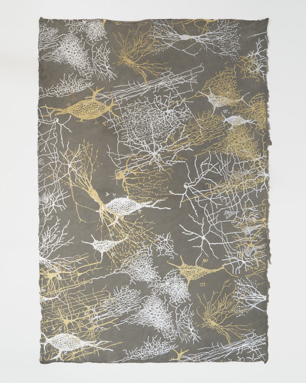 Neuron Wrapping Paper