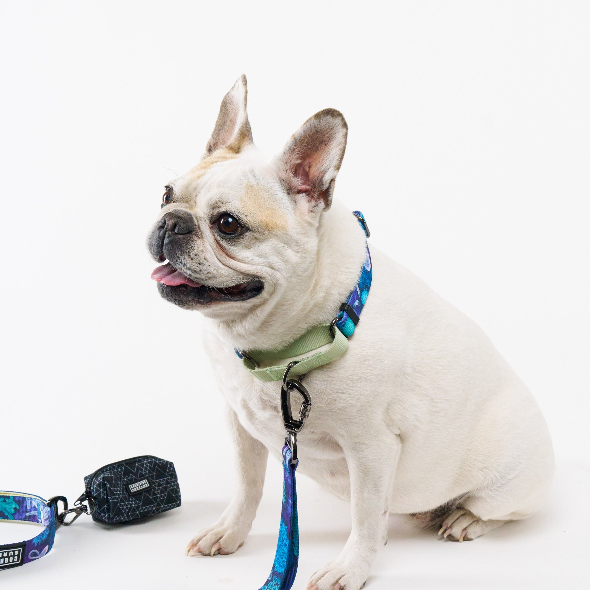 Pet Waste Bag Holders