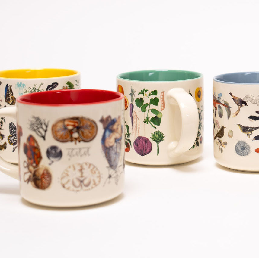 Mugs