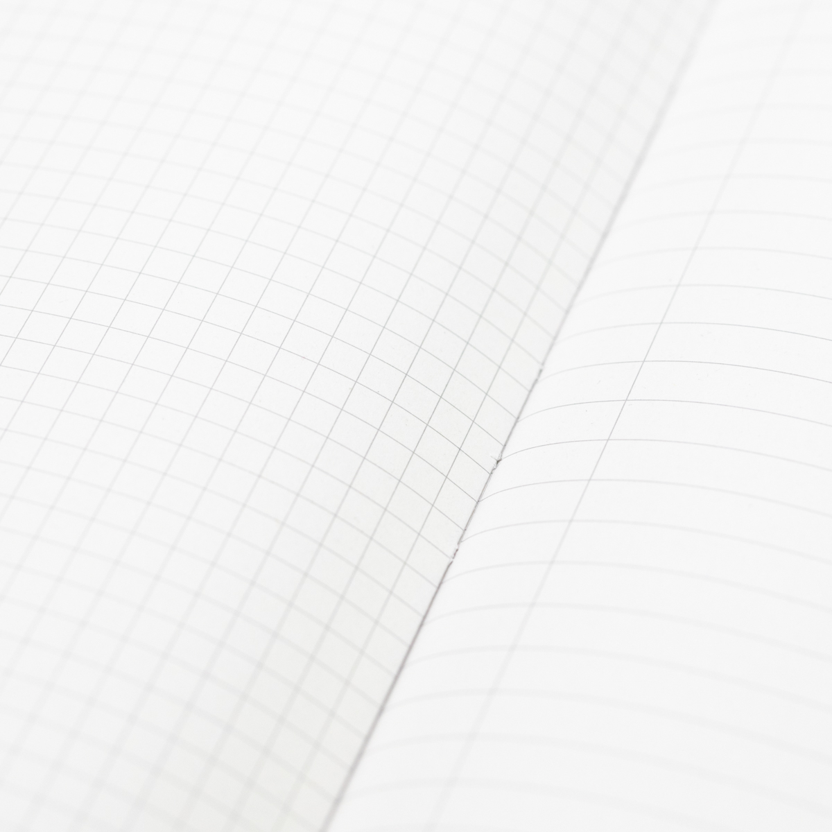 The Hypothesis: Lined & Grid