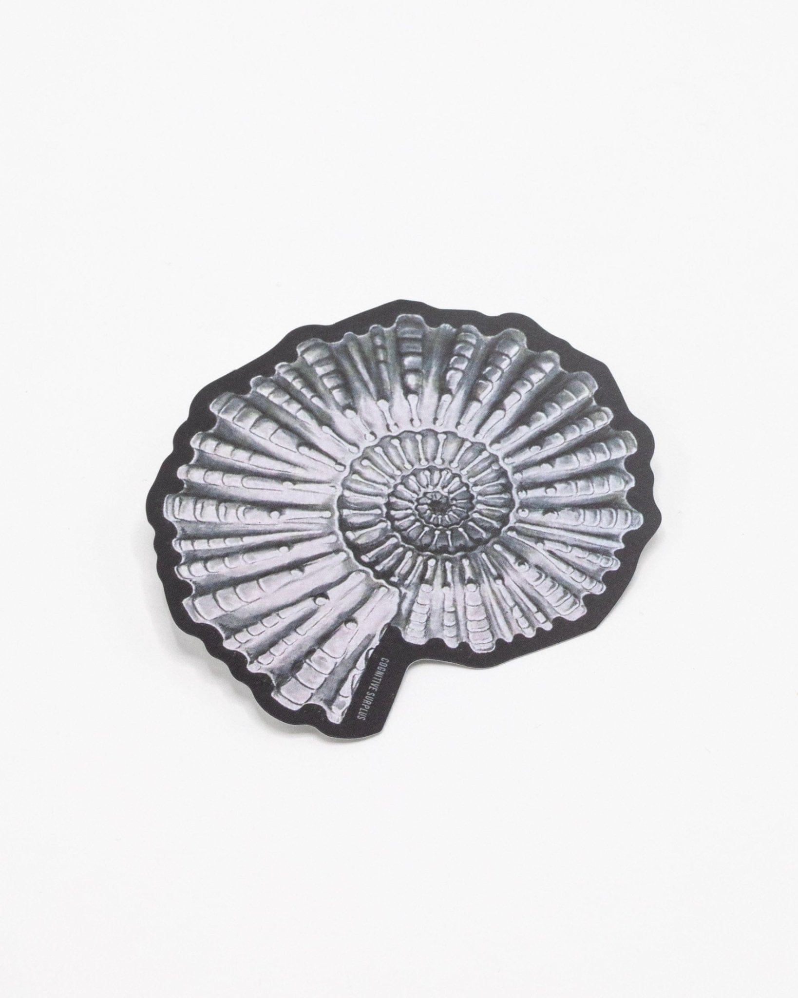 Ammonite Fossil Sticker Cognitive Surplus