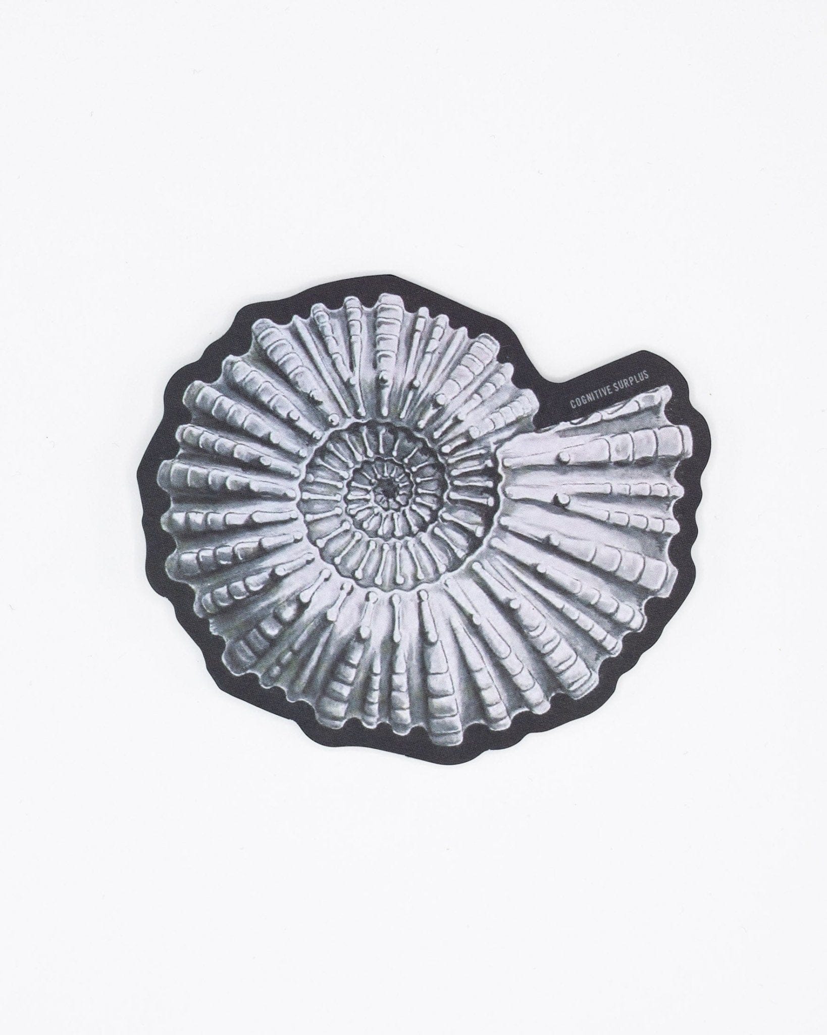 Ammonite-Fossil-Sticker-Cognitive-Surplus-94.jpg