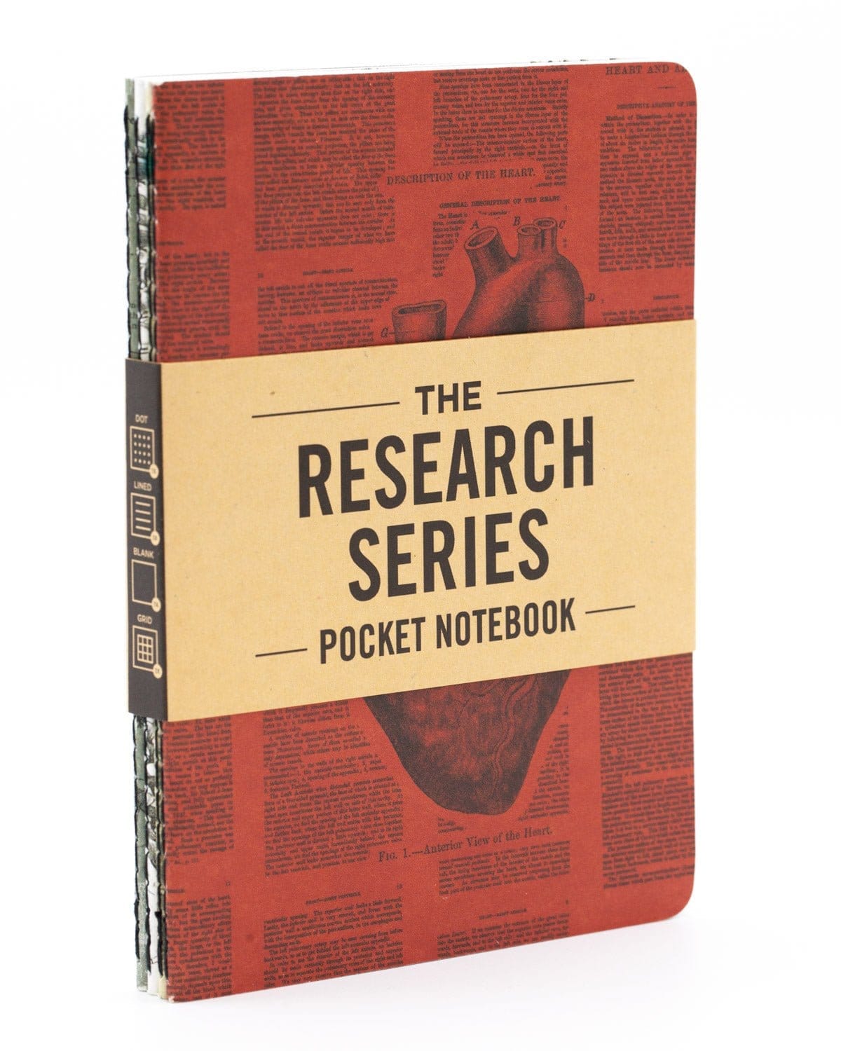 Anatomy Pocket Notebook 4-pack