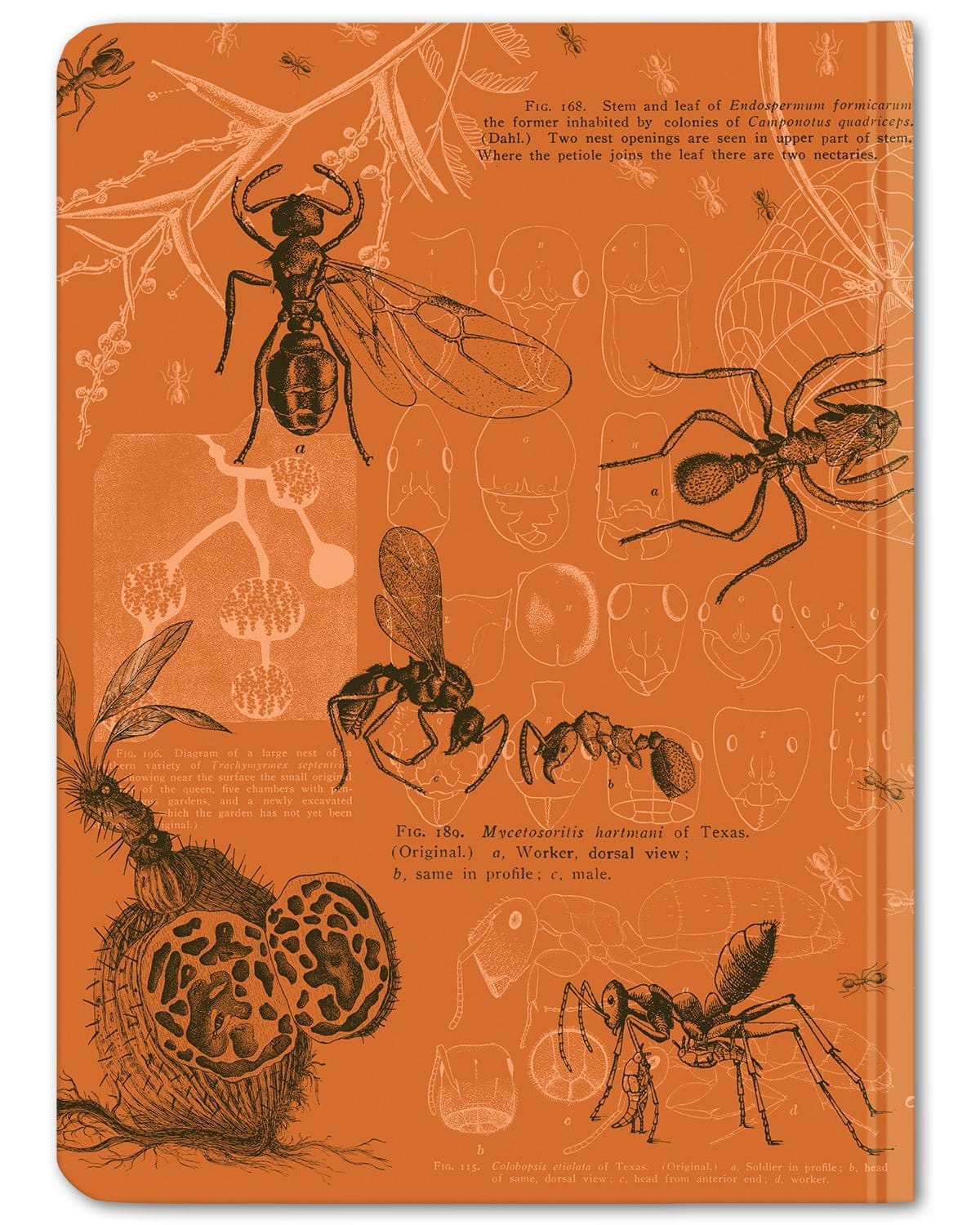 Ants-Hardcover-Dot-Grid-Cognitive-Surplus-130_7d03a343-425a-42fc-b57c-b8a25b132ed0.jpg