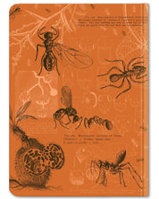 Ants Hardcover Notebook - Dot Grid