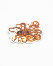 Atlantic White-Spotted Octopus Sticker Cognitive Surplus