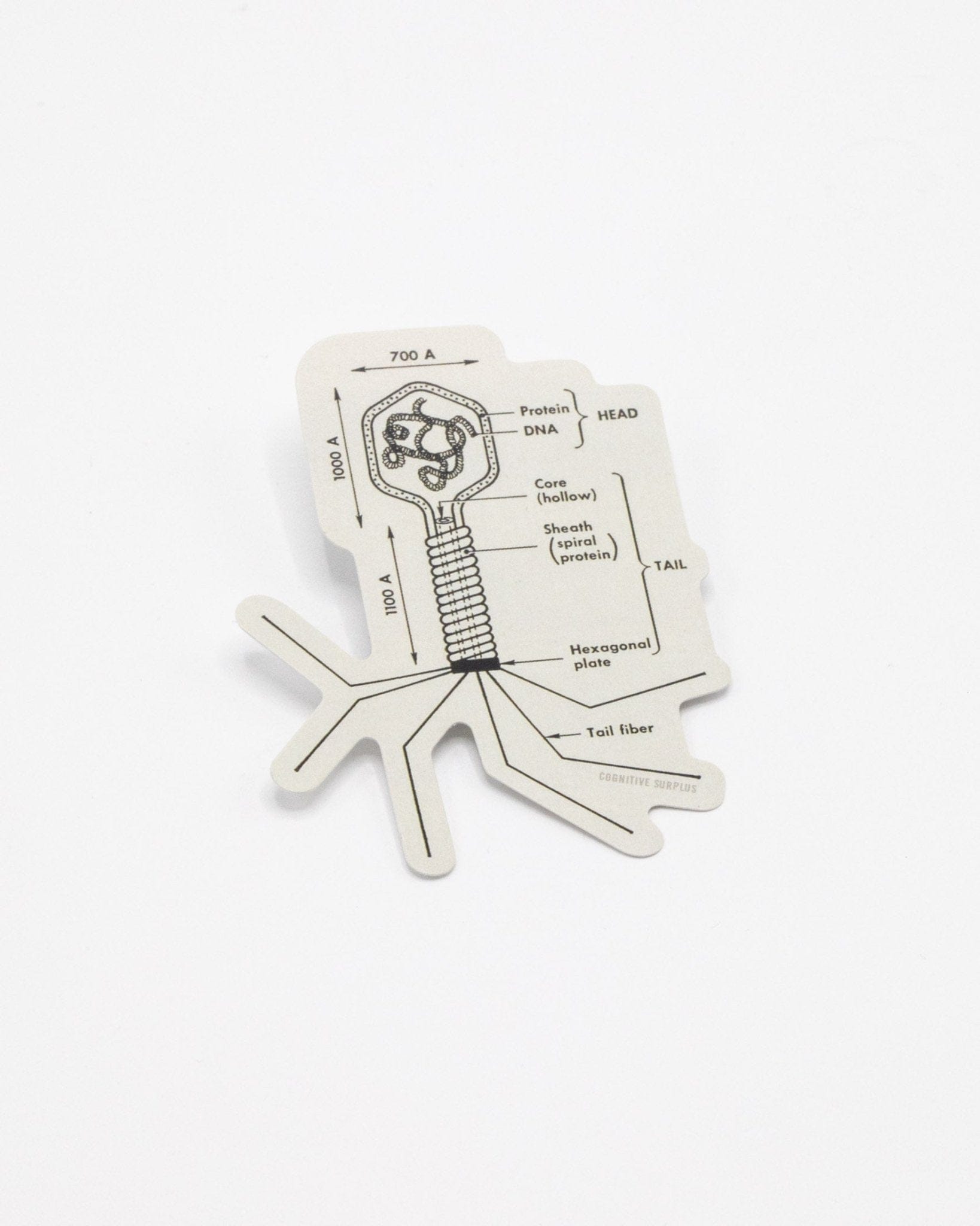 Bacteriophage Sticker Cognitive Surplus