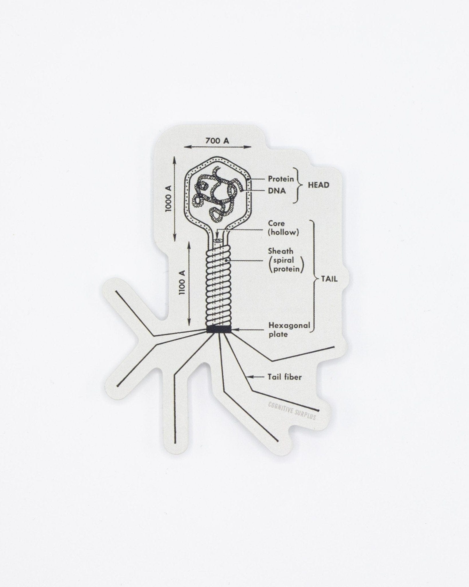 Bacteriophage-Sticker-Cognitive-Surplus-9.jpg