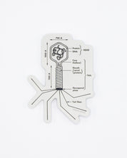 Bacteriophage Sticker