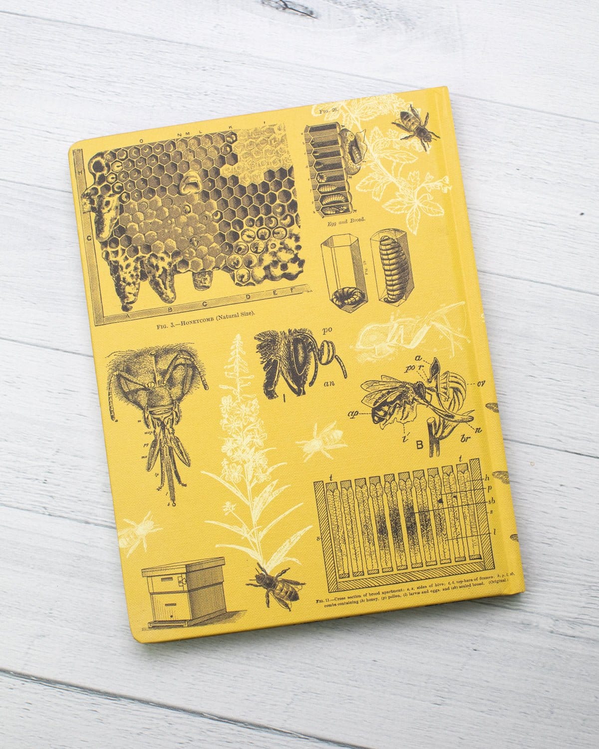 Bees Hardcover Notebook - Dot Grid