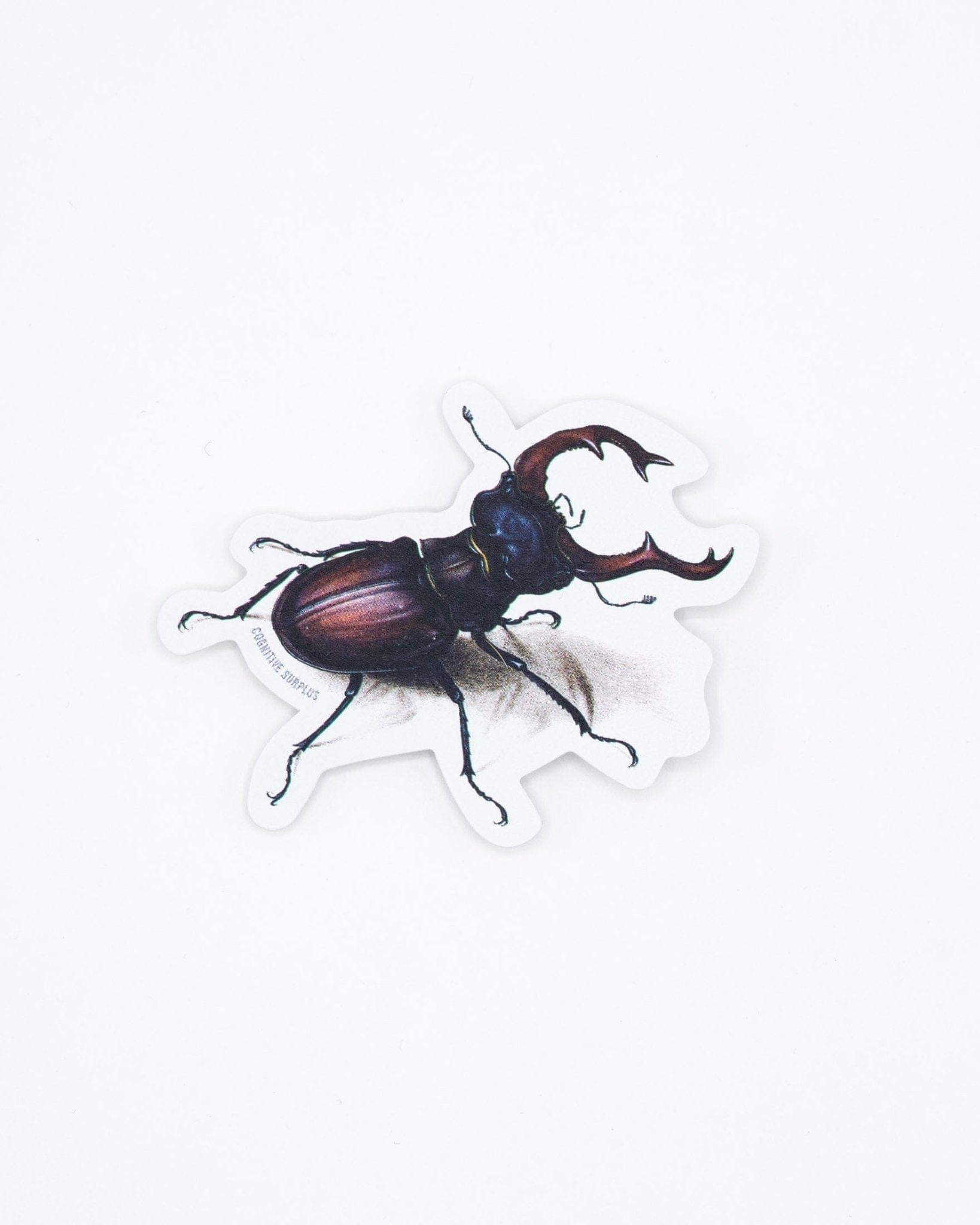 Beetle Sticker