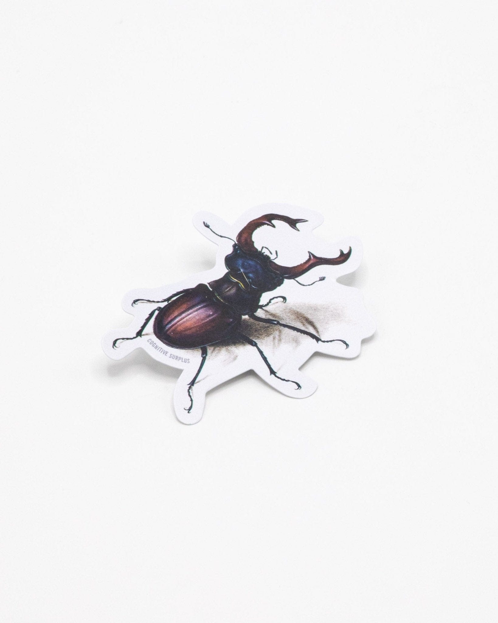 Beetle Sticker Cognitive Surplus