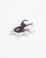 Beetle Sticker