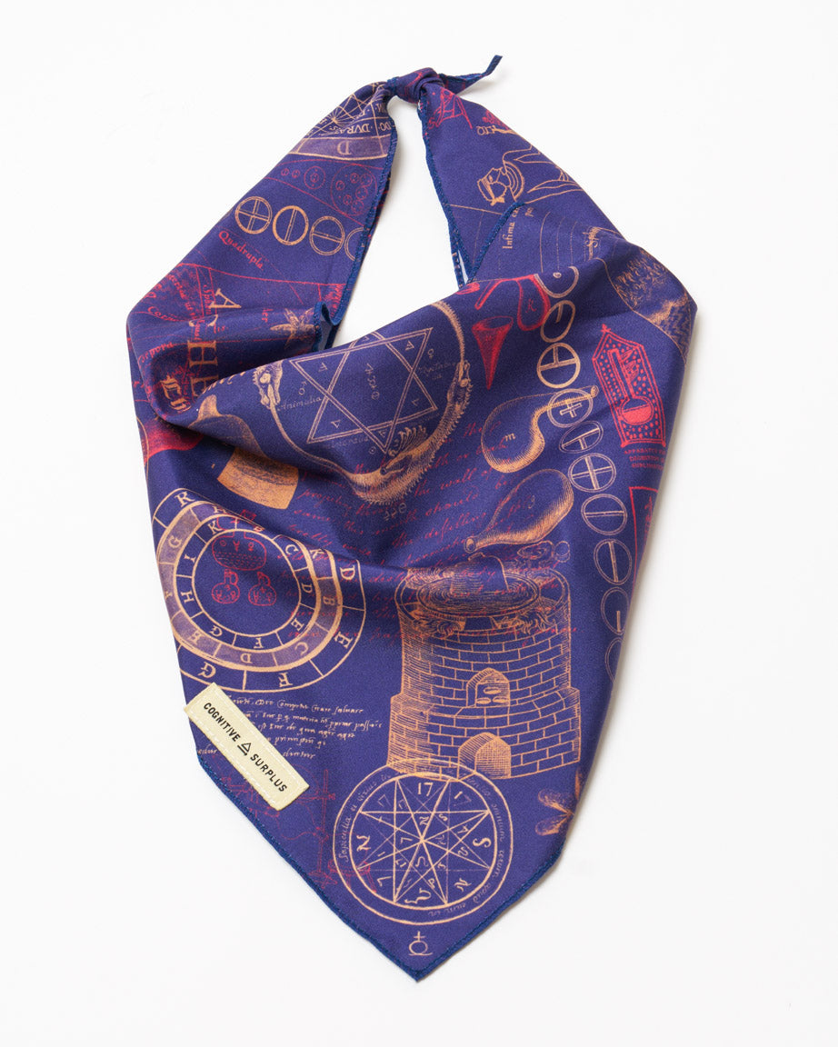 Alchemy Eco Pet Bandana