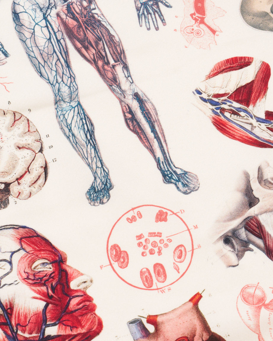 Anatomy Eco Pet Bandana