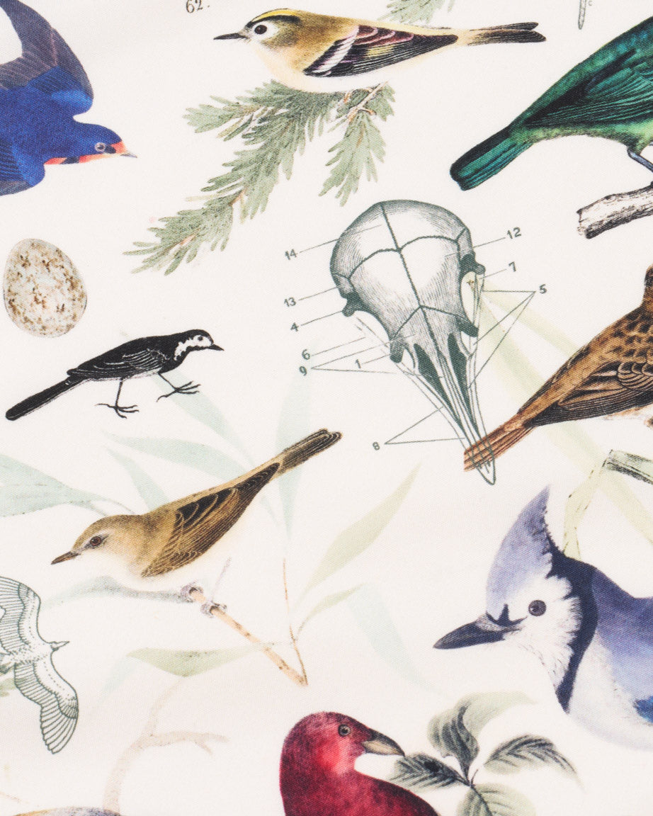 Birds Eco Pet Bandana