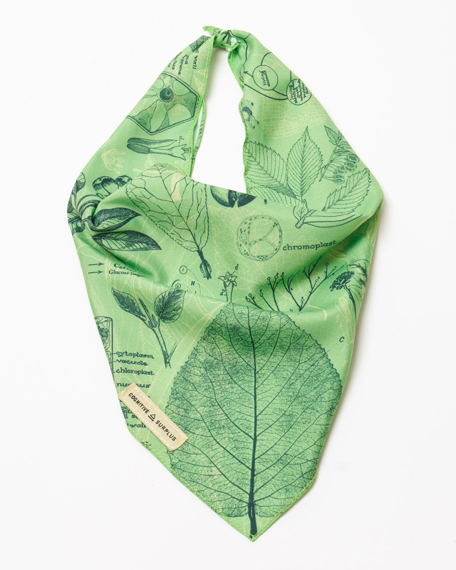 Botany Eco Pet Bandana