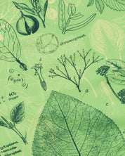 Botany Eco Pet Bandana