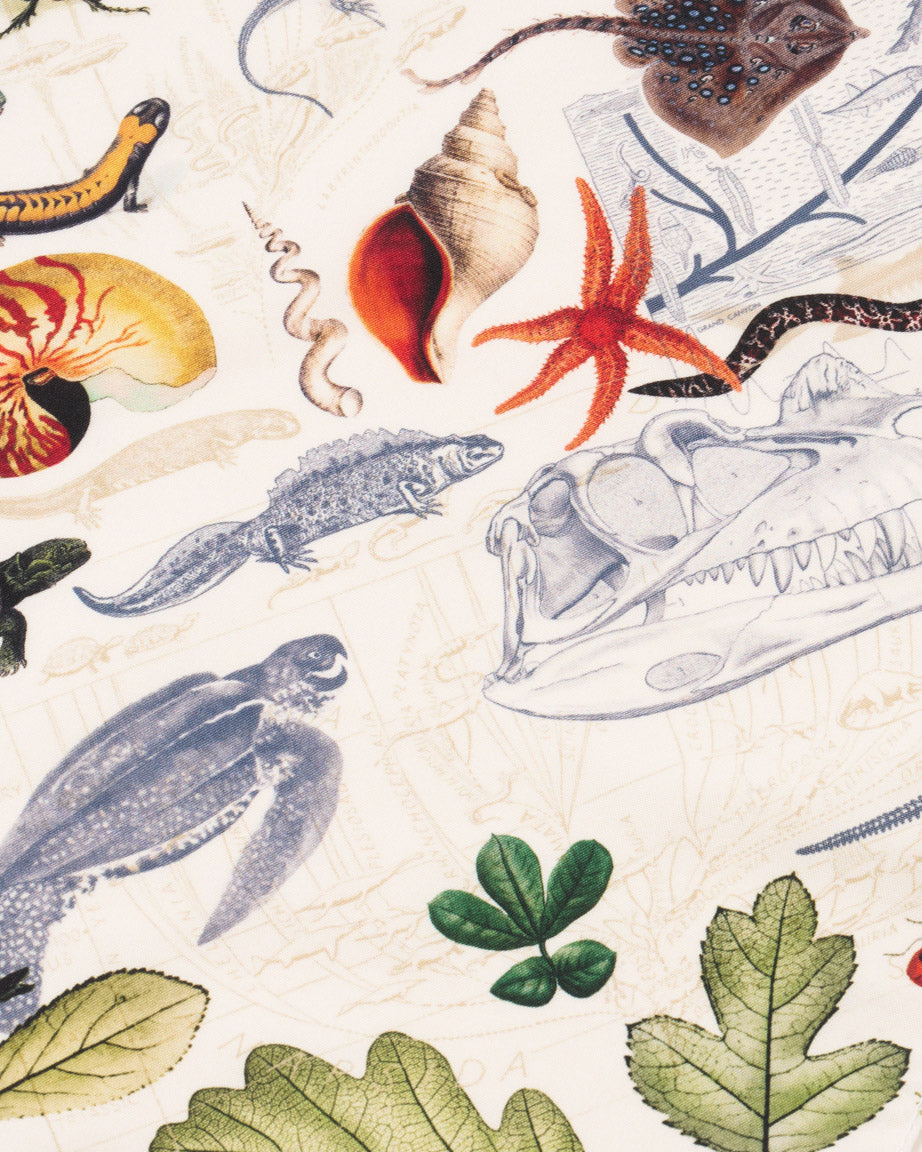 Evolution Eco Pet Bandana