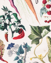 Farmer's Market Eco Pet Bandana