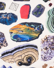 Gems & Minerals Eco Pet Bandana