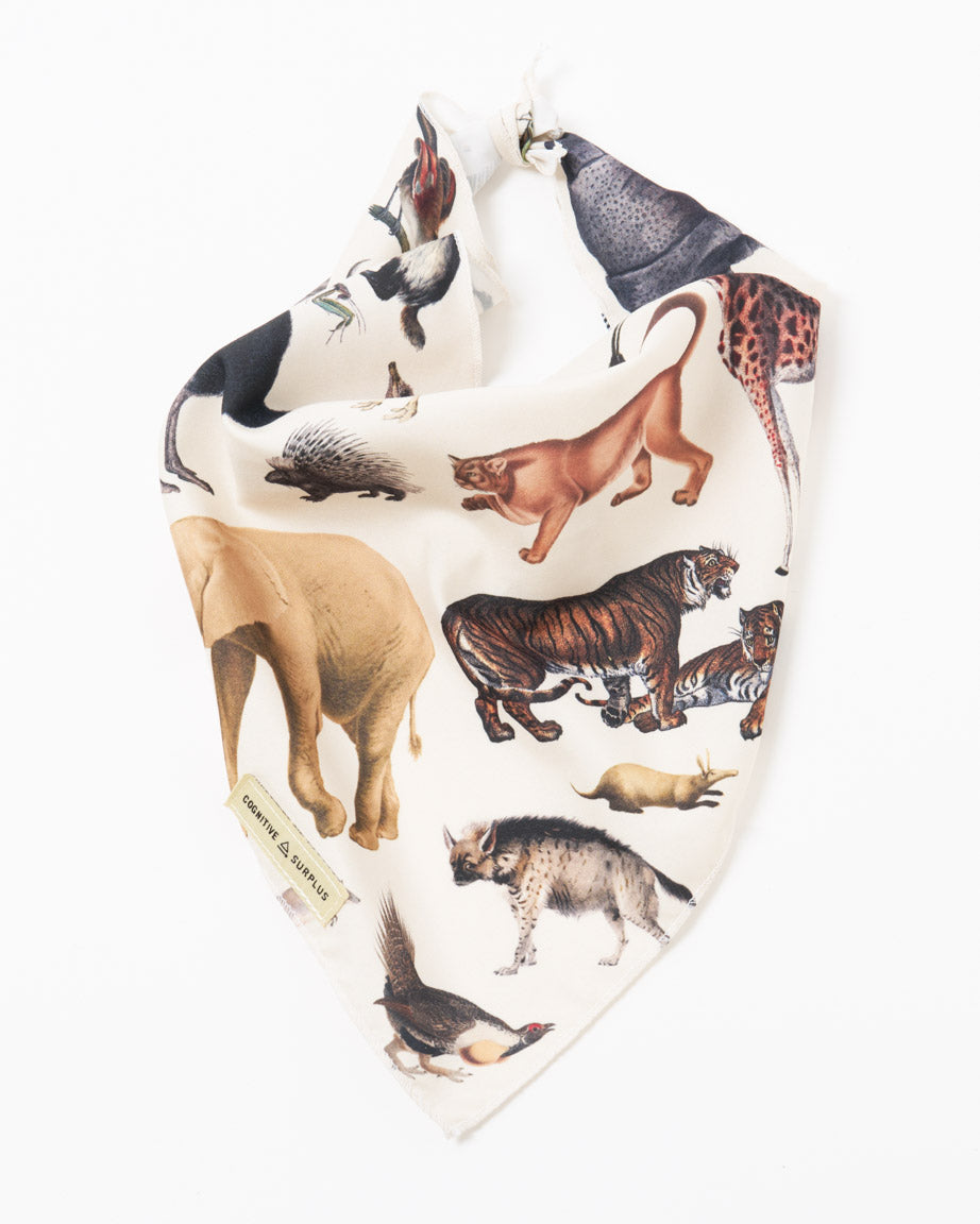 Grassland Zoology Eco Pet Bandana