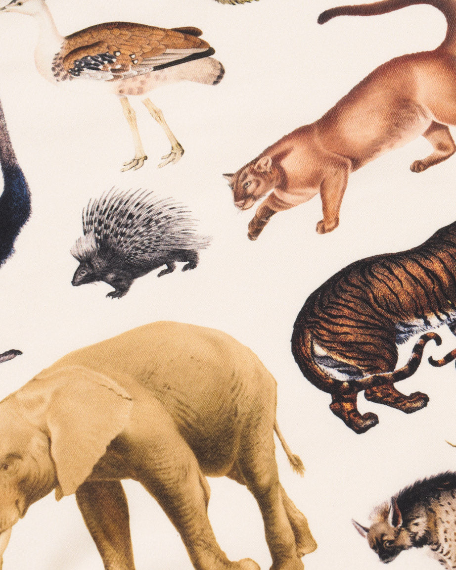 Grassland Zoology Eco Pet Bandana