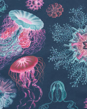 Haeckel Jellyfish Eco Pet Bandana