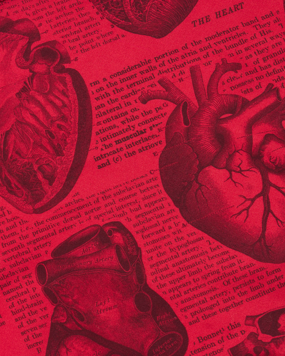 Anatomical Heart Eco Pet Bandana