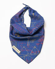Equations That Changed the World Eco Pet Bandana