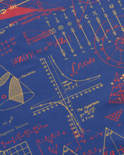 Equations That Changed the World Eco Pet Bandana