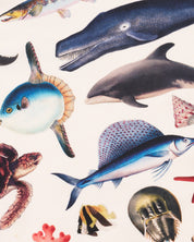 Marine Zoology Eco Pet Bandana