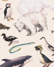 Polar Zoology Eco Pet Bandana