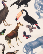 Rainforest Zoology Eco Pet Bandana