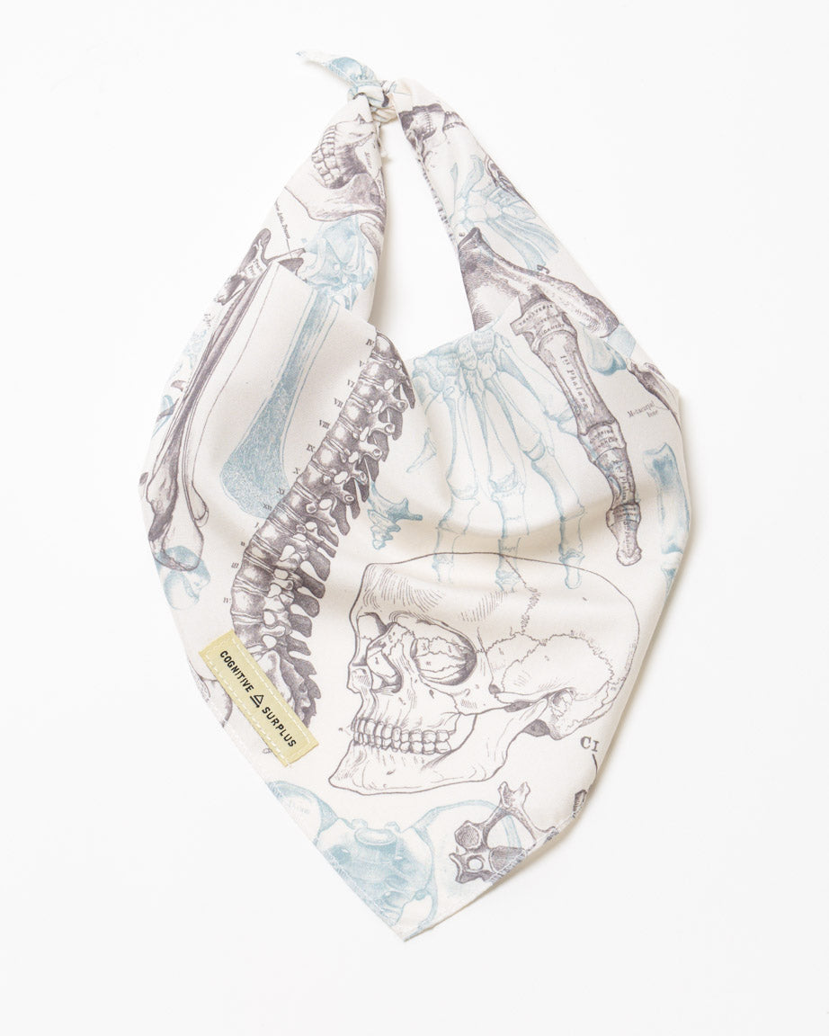 Skeleton Eco Pet Bandana