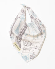 Skeleton Eco Pet Bandana