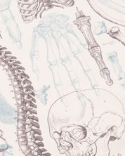 Skeleton Eco Pet Bandana