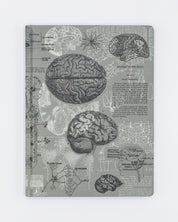 Brain Anatomy Hardcover Notebook - Dot Grid