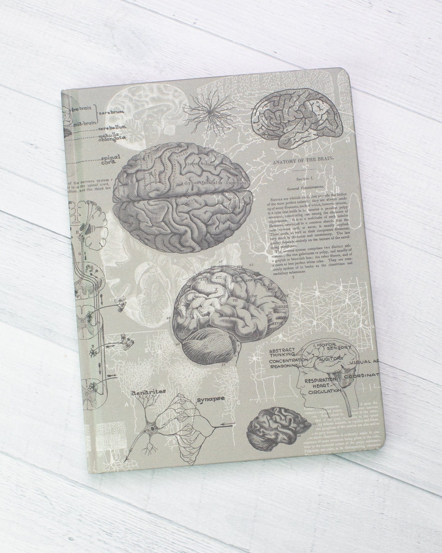 Brain Anatomy Hardcover Notebook - Dot Grid