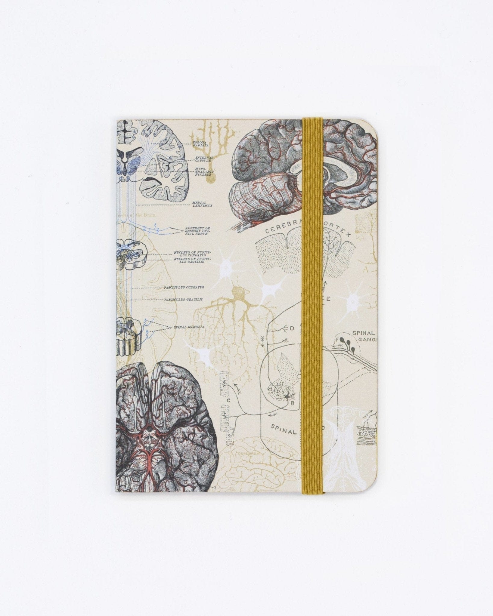 Brain Observation Softcover Cognitive Surplus