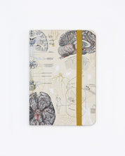 Brain Observation Softcover Cognitive Surplus