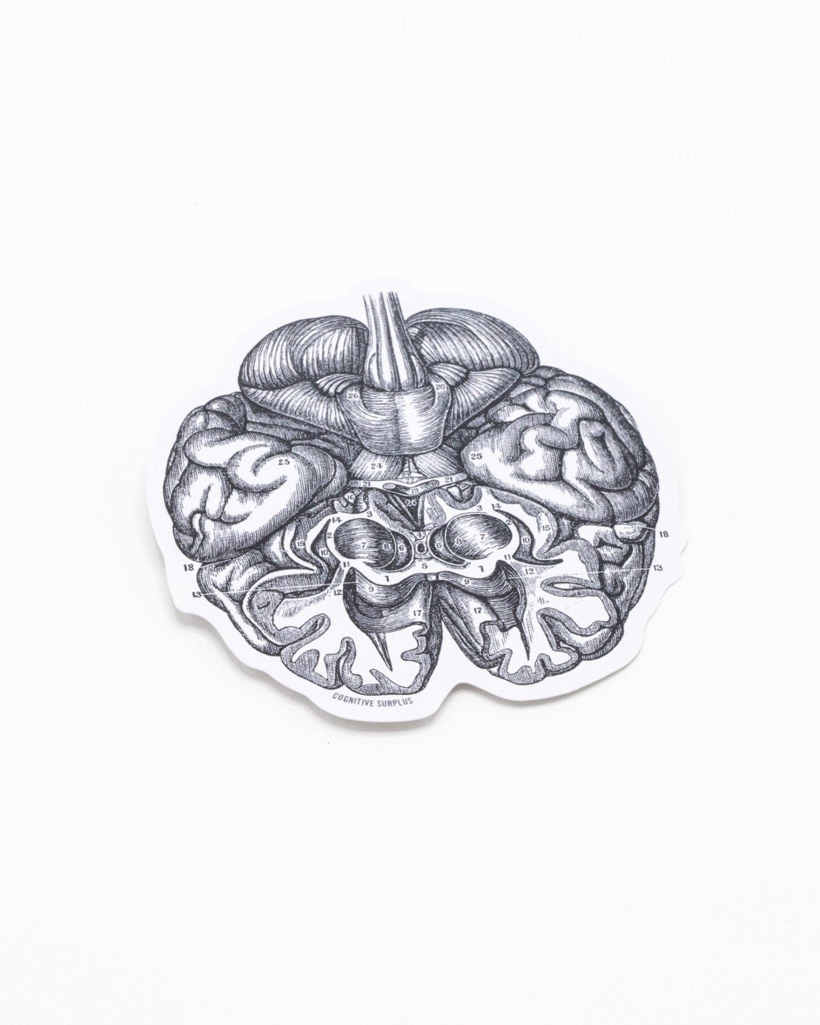 Brain Sticker Cognitive Surplus